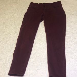 Women’s plum cotton pants